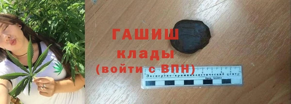 ПСИЛОЦИБИНОВЫЕ ГРИБЫ Каменка