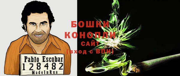 ПСИЛОЦИБИНОВЫЕ ГРИБЫ Каменка