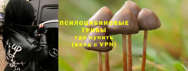 дурь Каменногорск