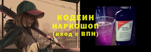 ПСИЛОЦИБИНОВЫЕ ГРИБЫ Каменка