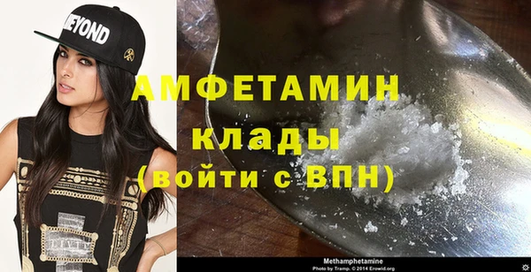 ПСИЛОЦИБИНОВЫЕ ГРИБЫ Каменка