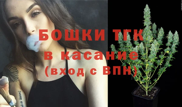 ПСИЛОЦИБИНОВЫЕ ГРИБЫ Каменка
