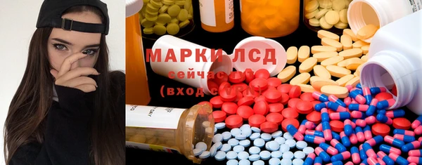 ПСИЛОЦИБИНОВЫЕ ГРИБЫ Каменка